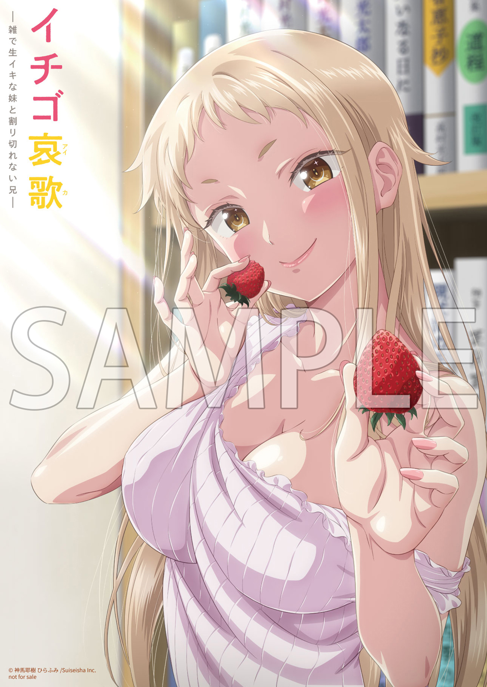 B5サイズイラストボード